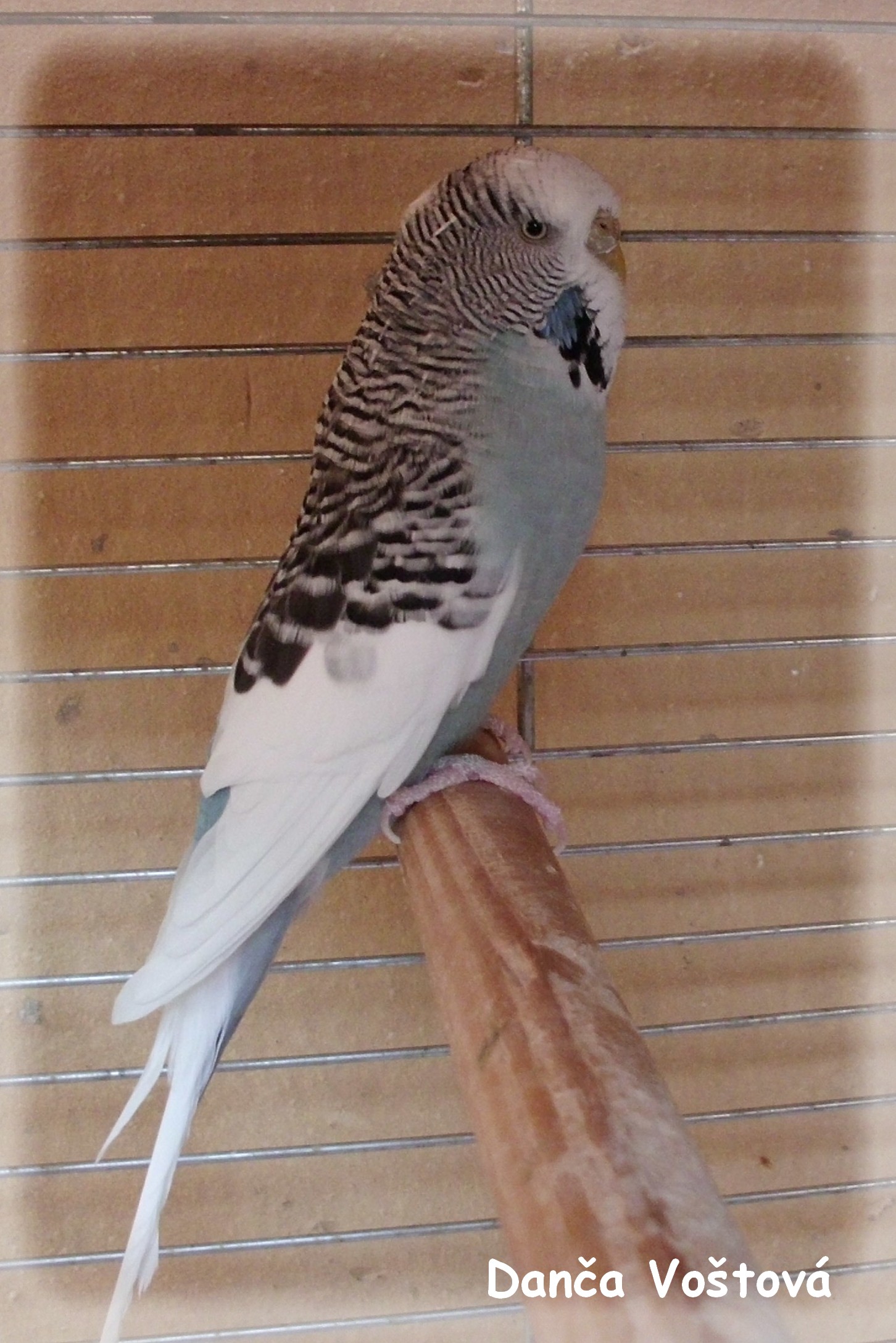 CIMG0263